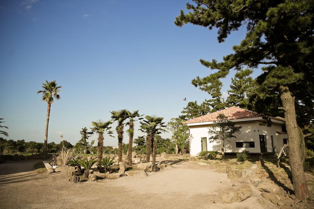 Color In Jeju Pension Exterior foto